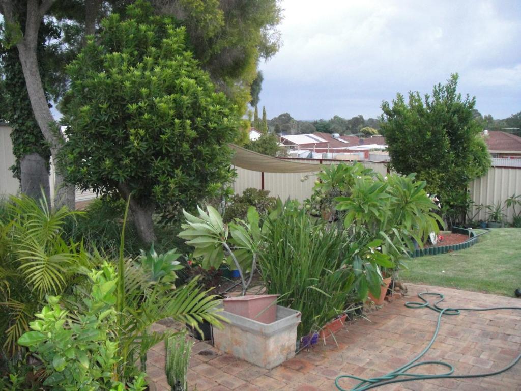 Armadale Cottage Bed & Breakfast Redcliffe Eksteriør billede